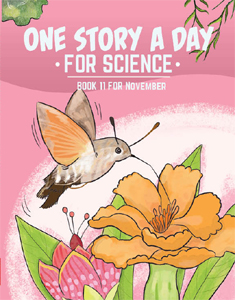 book11_235x300